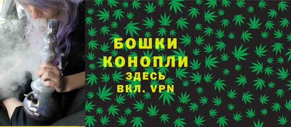 амфетамин Белокуриха