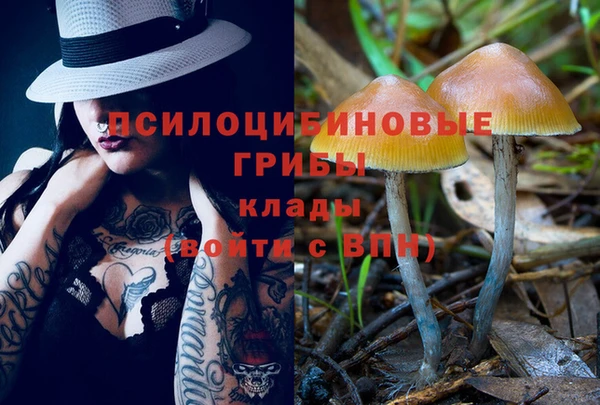 амфетамин Белокуриха